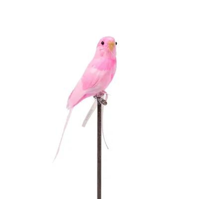 Artificial Bird