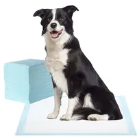 Super-absorbent Waterproof Dog And Puppy Pet Training Pad, Housebreaking Pet Pad