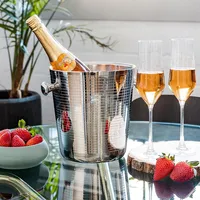 Double Wall Champagne/ Wine Cooler