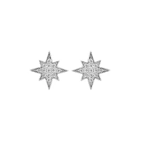 Sterling Silver & 0.09 CT. T.W. Diamond Star Stud Earrings