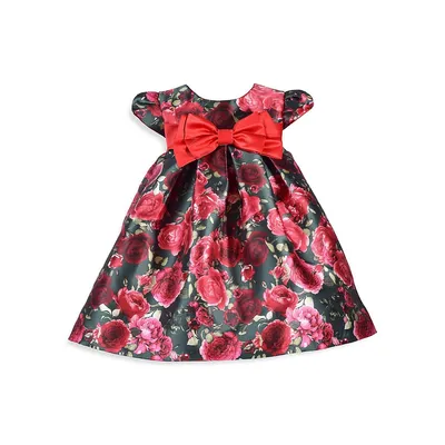 Baby Girl's 2-Piece Rose Floral Party Dress & Bloomers Set