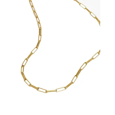 Madewell Paper Clip Goldplated & Cubic Zirconia Chain Necklace | Metropolis  at Metrotown