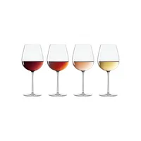 Signature Series Warm-Region 4-Piece Wine Glass Set