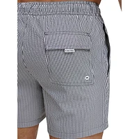 Seersucker Volley Swim Shorts