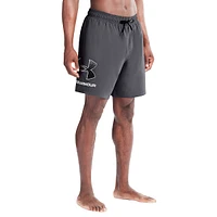 UA Logo Volley Shorts