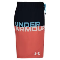 Boy's Logo Colourblock UPF 50+ Volley Shorts