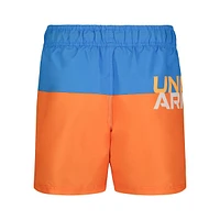 Boy's Colourblock Volley Swim Shorts