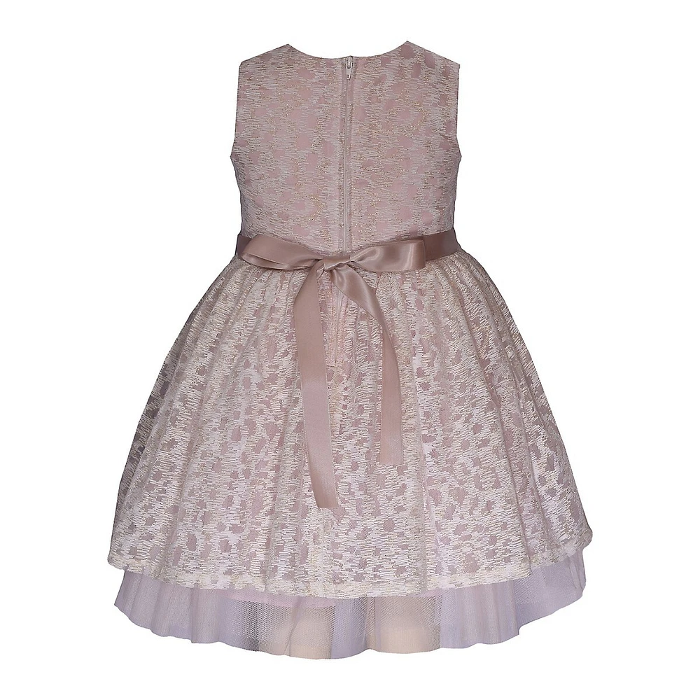 Little Girl's Banded Lace Dress