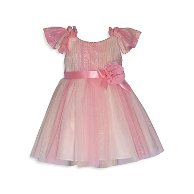 Baby Girl's Sequin & Ombré Mesh Party Dress