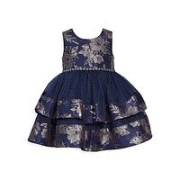 Baby Girl's Sleeveless Foiled Tiered Dress