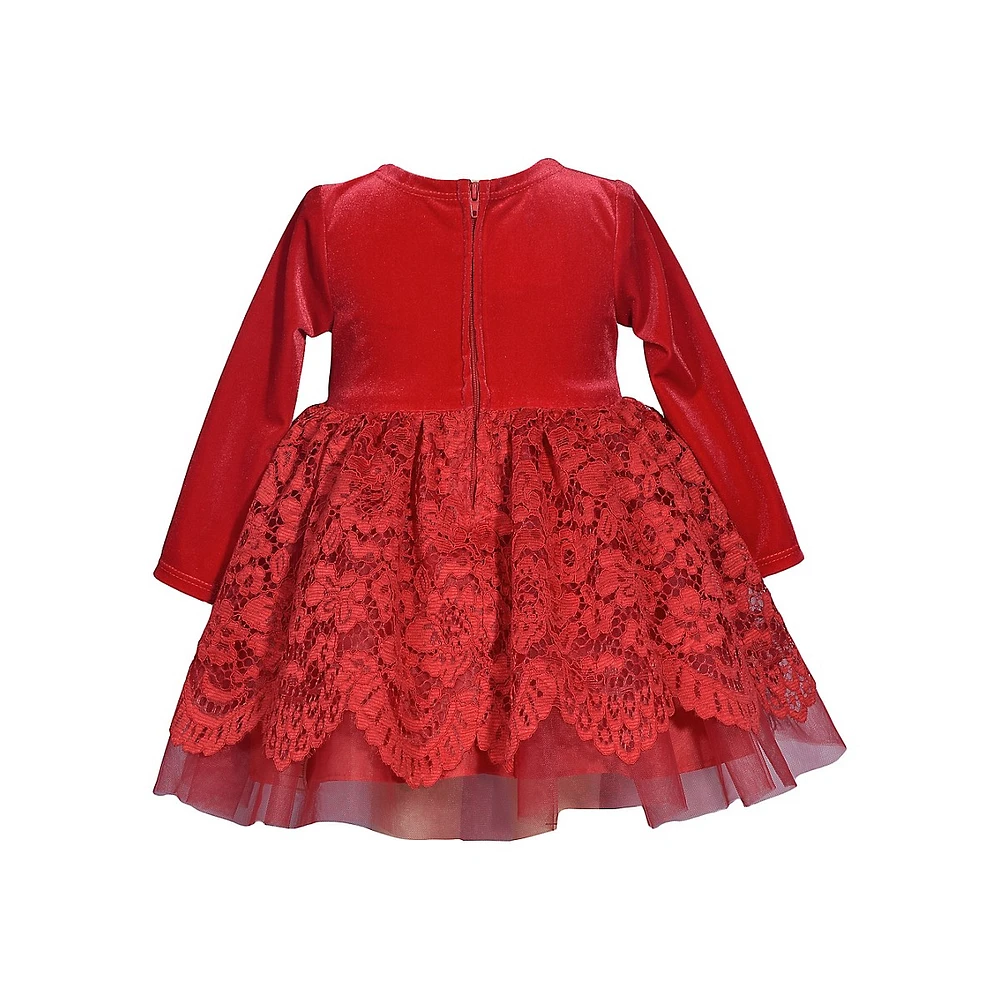 Little Girl's Stretch Velvet & Scalloped Lace Dress