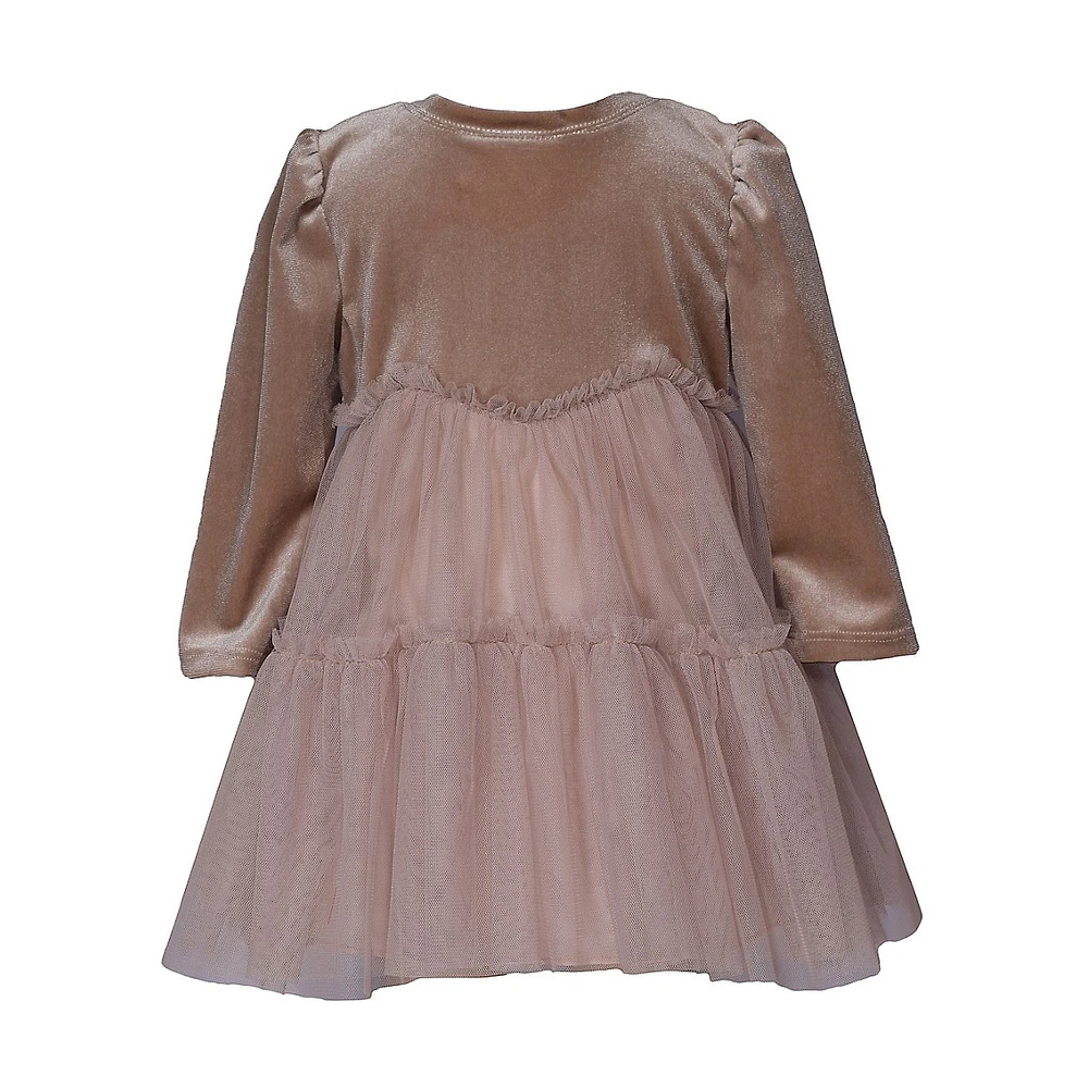 Little Girl's Velvet & Mesh Float Dress