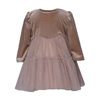 Little Girl's Velvet & Mesh Float Dress