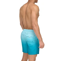 Gradient Stripe Volley Swim Shorts