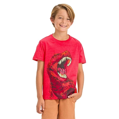 Boy's Dinsaur Graphic T-Shirt