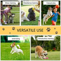 Portable Dog Agility Equipment Set For Obedience Training