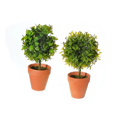 Artificial Topiary Ball Plant In Clay Pot Asstd - Set Of 2