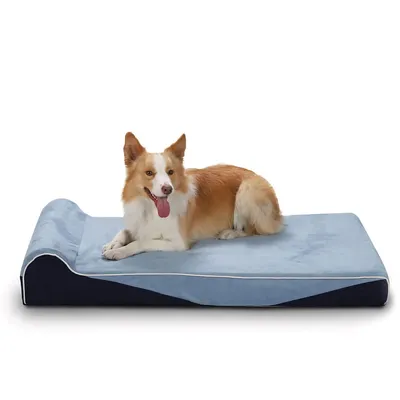 Single Pillow Orthopedic Memory Foam Dog Bed 34inch