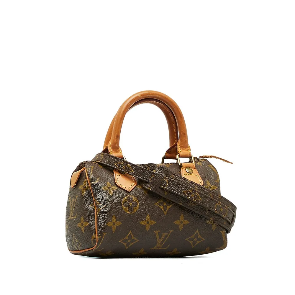 What Fits Louis Vuitton Mini HL Speedy 