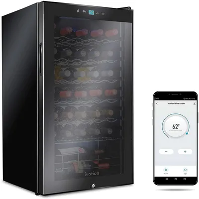 Compressor Wine Cooler Refrigerator, Temperature Control, Large Freestanding Cellar For or Champagne with Glass Door