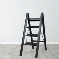 2 Step Ladder