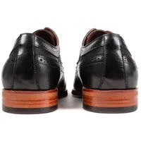 Dantzic Brogue Shoes