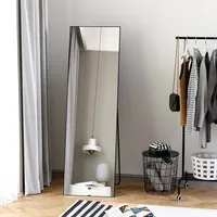 Aluminum Alloy Dressing Full Length Mirror