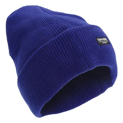 Unisex Thinsulate Lined Winter Hat