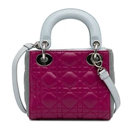 Pre-loved Mini Tricolor Lambskin Cannage Lady Dior