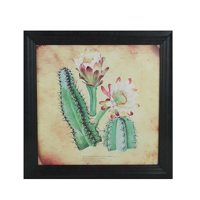 12" Black And Green Cactus And Other Desert Plants Surrounded By Black Photo Frame