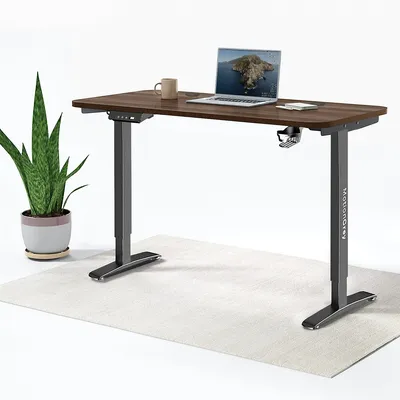 Height Adjustable Electric Motor Sit To Stand Computer Home And Office Standing Desk - (55inx24 Top Included)