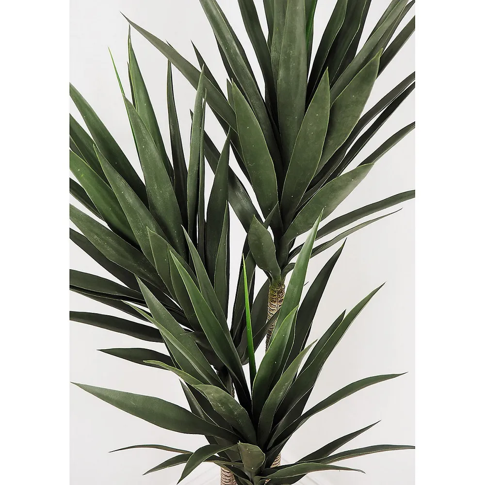Faux Botanical Yucca In Green 59 In. Height