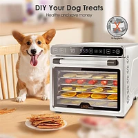 7-tray Food Dehydrator With Recipes,temperature Control Dryer Machine