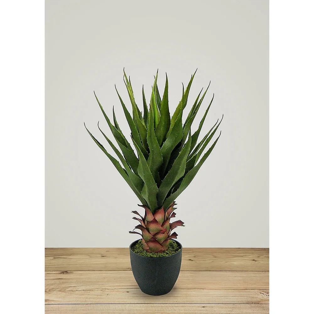 Faux Botanical Green Agave 28 In. Height