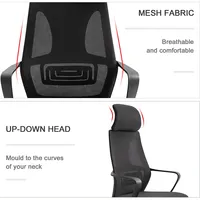 High Back Mesh Office Chair With 2d Headrest