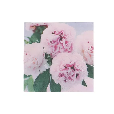 20 Pack Luncheon 3 Ply Napkin Peonies - Set Of 6