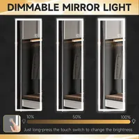 Dimming Led Lighted Full Length Mirror With 3 Colour