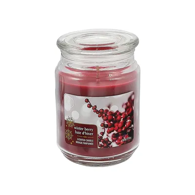 18 Oz Scented Jar Candle (winter Berry) - Set Of 2