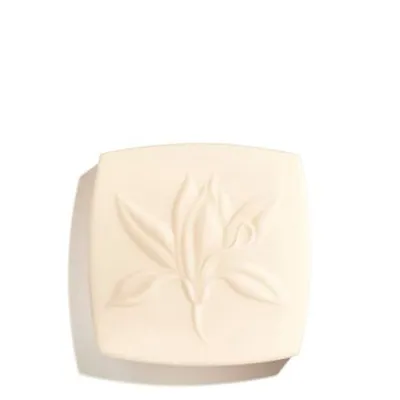 Radiance-Revealing Rich Cleansing Soap