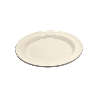 Ceramic Dinner Plate