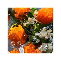 Aqua Allegoria Mandarine Basilic Eau de Toilette Refill