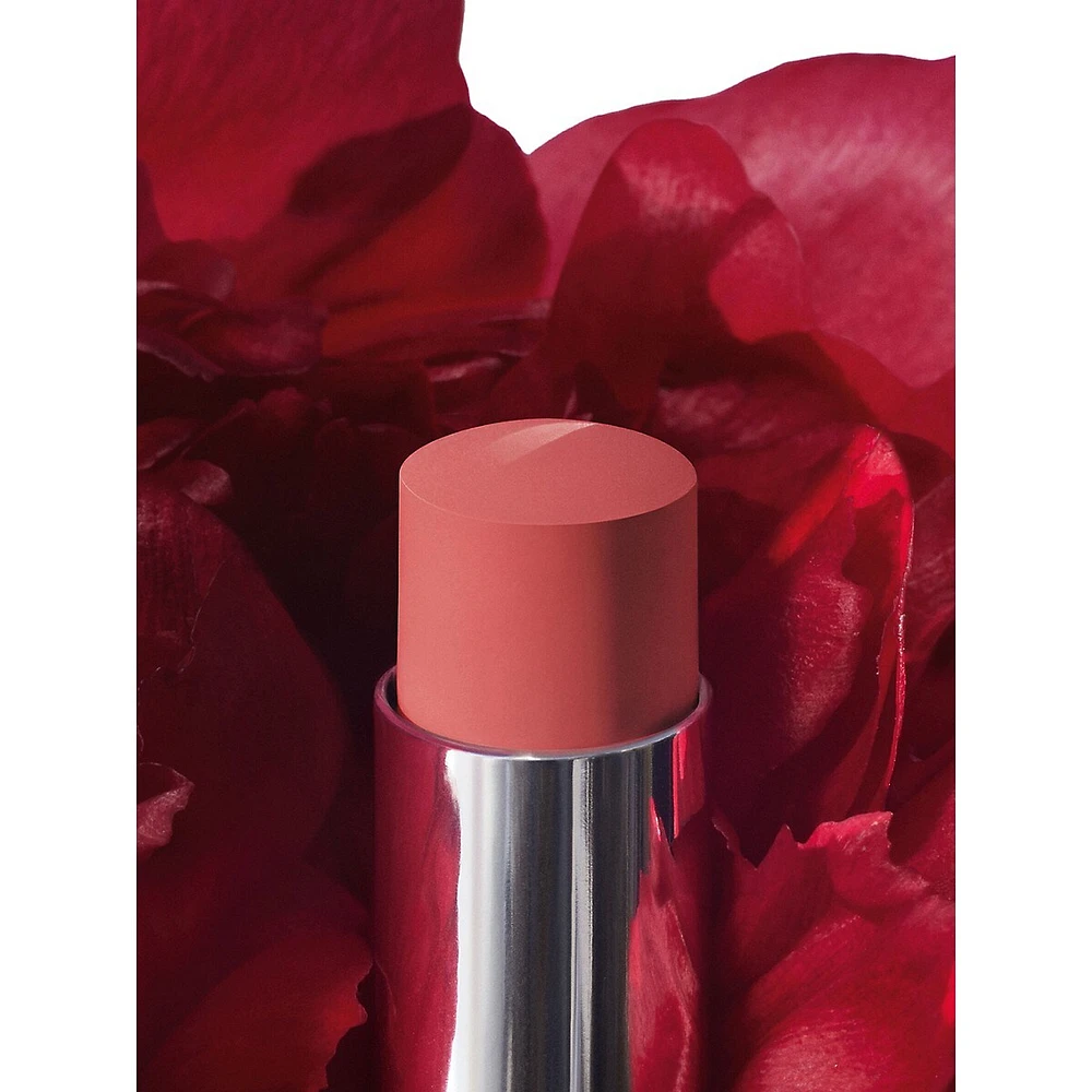 Rouge Dior Forever Transfer-Proof Lipstick