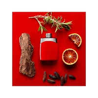 Legend Red Deodorant Stick