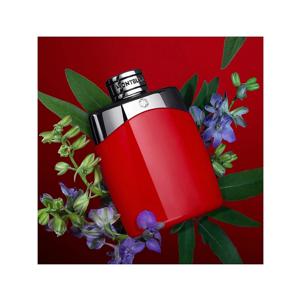 Bâton déodorant Legend Red