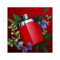 Legend Red Deodorant Stick
