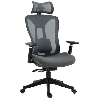 Mesh Office Chair With Lumbar Support, Arm, Slide Seat