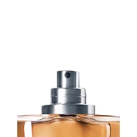 Eau de parfum Acqua di Gio Absolu
