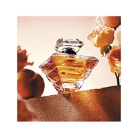 Trésor Eau De Parfum 3-Piece Holiday Set - Fragrance & Body Lotion With Apricot Blossom & Rose - $212 Value