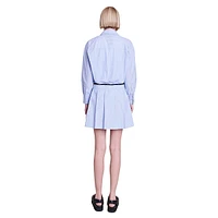 Raudri Pleated Short Shirt Dress