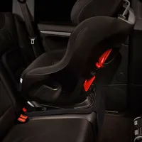 Mat-thingy Seat Protector